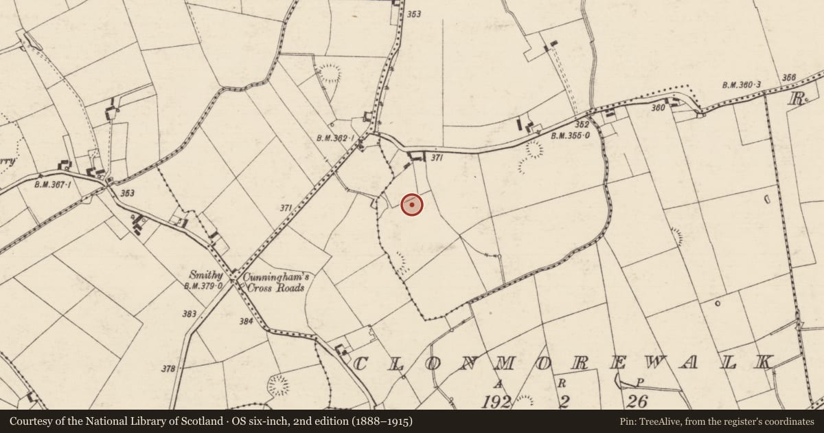 Ordnance Survey six-inch map, 2nd edition (1888–1915) covering the location of Standing stone, Shanballymore, County Tipperary South, with a pin at the register's coordinates