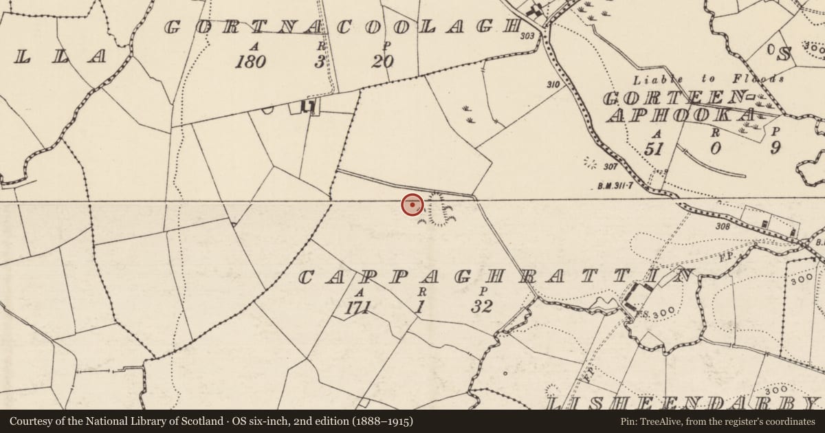 Ordnance Survey six-inch map, 2nd edition (1888–1915) covering the location of Barrow - ditch barrow, Cappaghrattin, County Tipperary South, with a pin at the register's coordinates