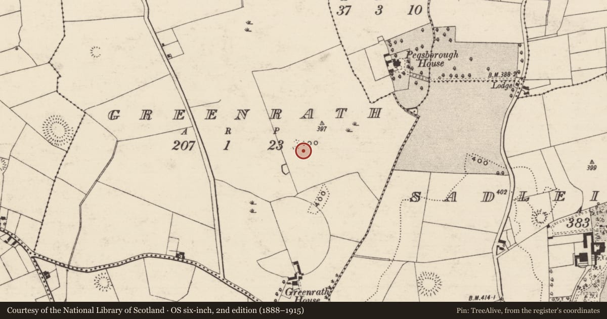 Ordnance Survey six-inch map, 2nd edition (1888–1915) covering the location of Standing stone, Greenrath, County Tipperary South, with a pin at the register's coordinates