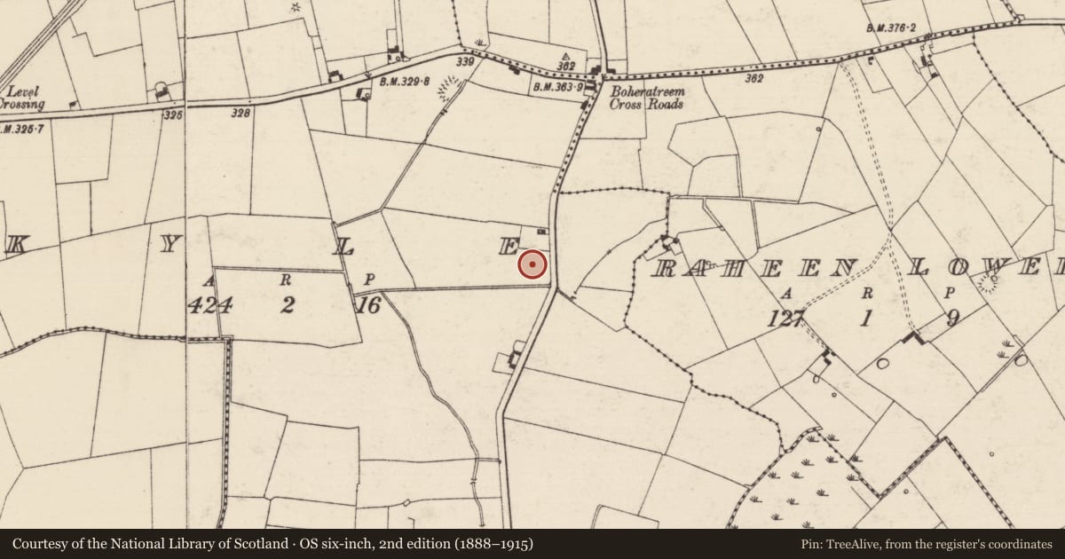 Ordnance Survey six-inch map, 2nd edition (1888–1915) covering the location of Standing stone, Kyle (Solloghodbeg Par.), County Tipperary South, with a pin at the register's coordinates