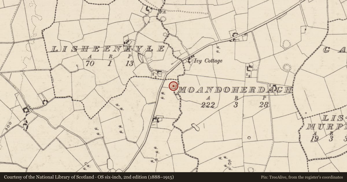 Ordnance Survey six-inch map, 2nd edition (1888–1915) covering the location of Standing stone, Solloghodbeg, County Tipperary South, with a pin at the register's coordinates