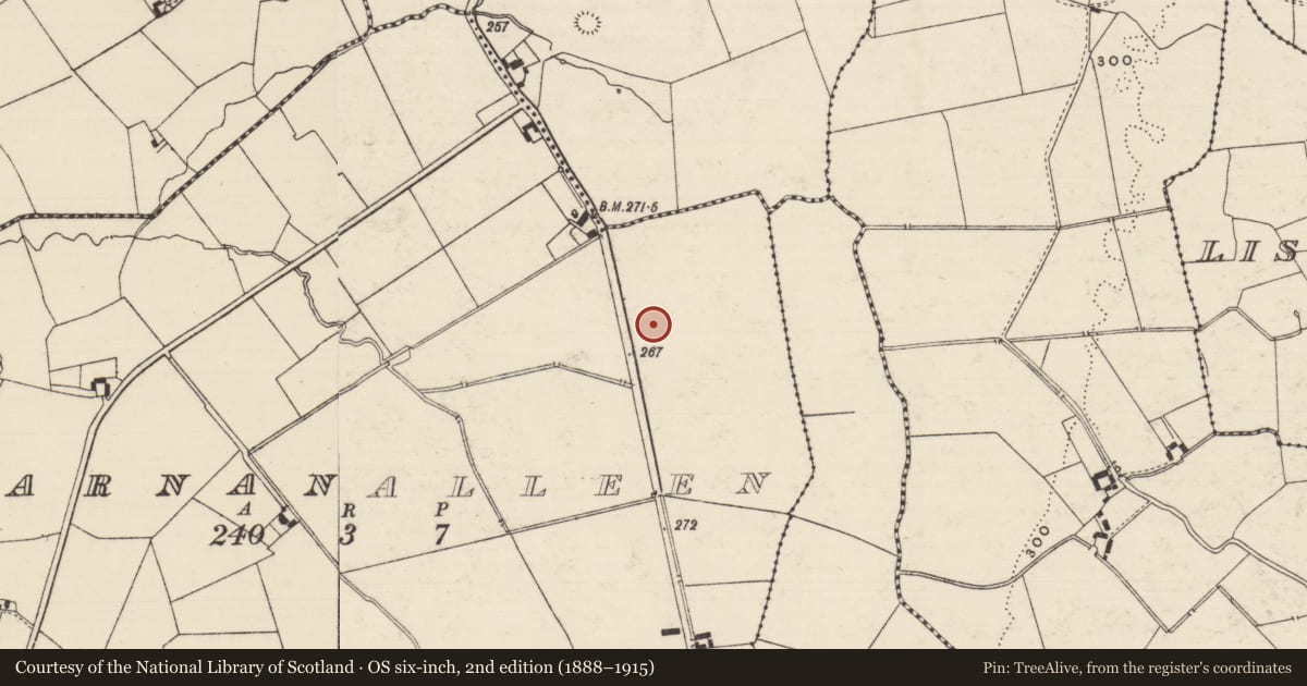 Ordnance Survey six-inch map, 2nd edition (1888–1915) covering the location of Barrow - ring-barrow, Barnanalleen, County Tipperary South, with a pin at the register's coordinates