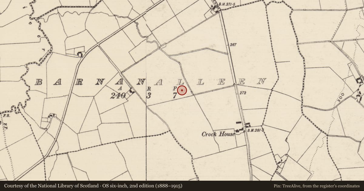 Ordnance Survey six-inch map, 2nd edition (1888–1915) covering the location of Barrow - ring-barrow, Barnanalleen, County Tipperary South, with a pin at the register's coordinates