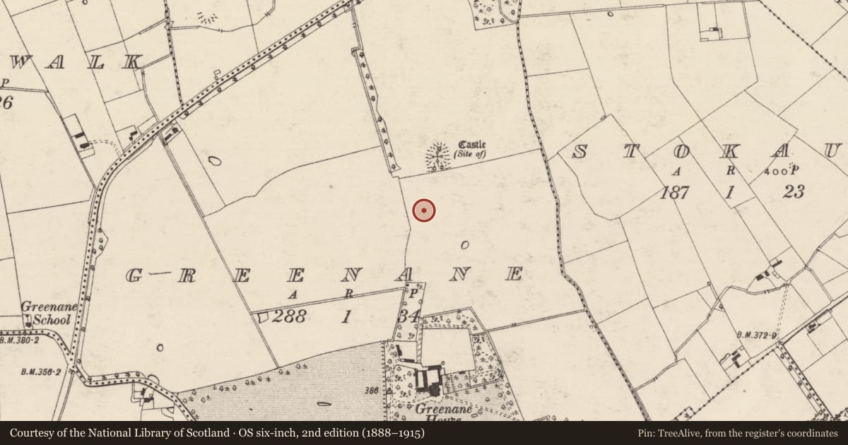 Ordnance Survey six-inch map, 2nd edition (1888–1915) covering the location of Barrow - unclassified, Greenane, County Tipperary South, with a pin at the register's coordinates