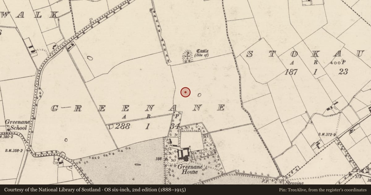 Ordnance Survey six-inch map, 2nd edition (1888–1915) covering the location of Barrow - unclassified, Greenane, County Tipperary South, with a pin at the register's coordinates