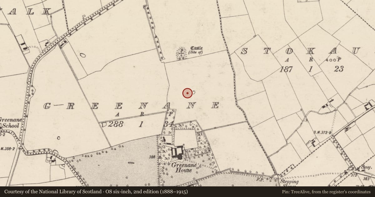 Ordnance Survey six-inch map, 2nd edition (1888–1915) covering the location of Barrow - unclassified, Greenane, County Tipperary South, with a pin at the register's coordinates