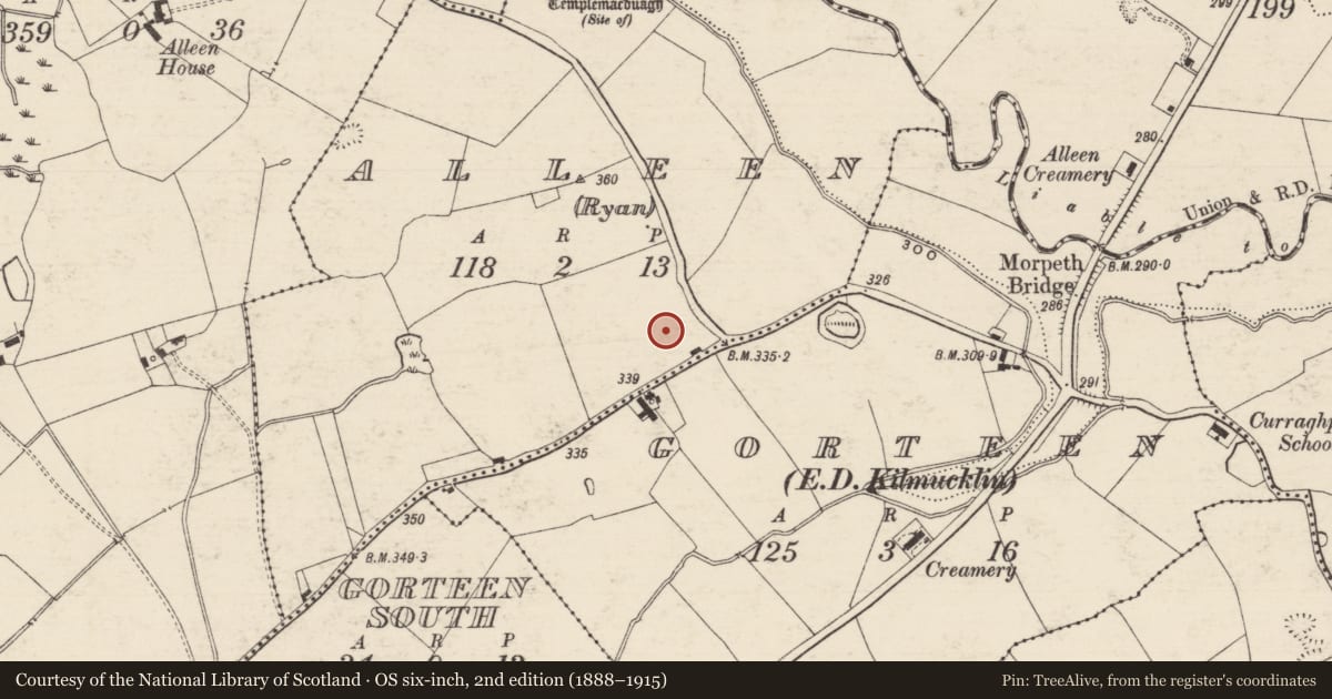 Ordnance Survey six-inch map, 2nd edition (1888–1915) covering the location of Enclosure, Alleen (Ryan) (Rathlynin Par.), County Tipperary South, with a pin at the register's coordinates