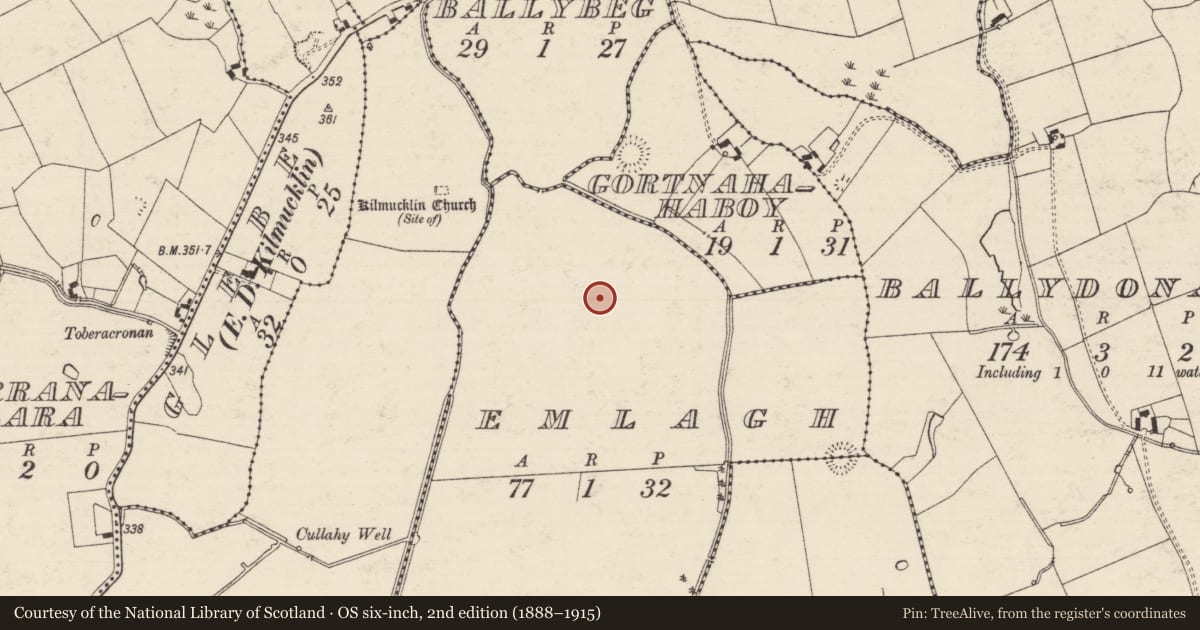 Ordnance Survey six-inch map, 2nd edition (1888–1915) covering the location of Barrow - ring-barrow, Emlagh, County Tipperary South, with a pin at the register's coordinates