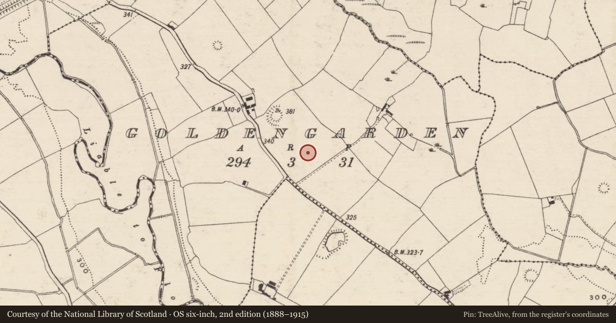 Ordnance Survey six-inch map, 2nd edition (1888–1915) covering the location of Ring-ditch, Goldengarden, County Tipperary South, with a pin at the register's coordinates