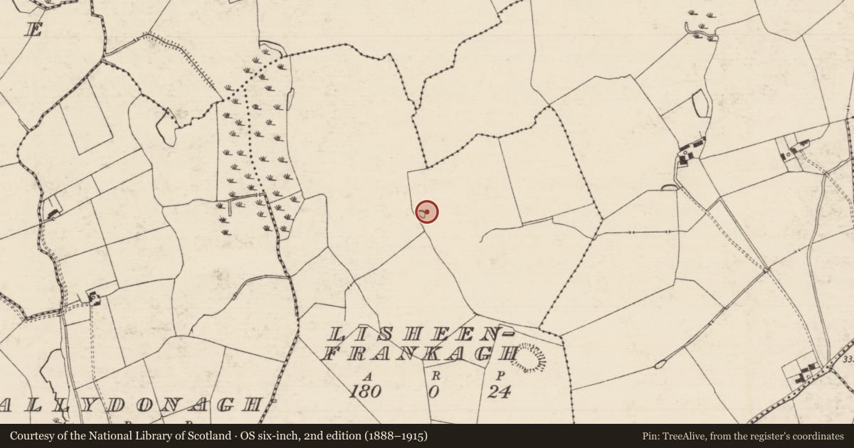 Ordnance Survey six-inch map, 2nd edition (1888–1915) covering the location of Enclosure, Lisheenfrankagh, County Tipperary South, with a pin at the register's coordinates
