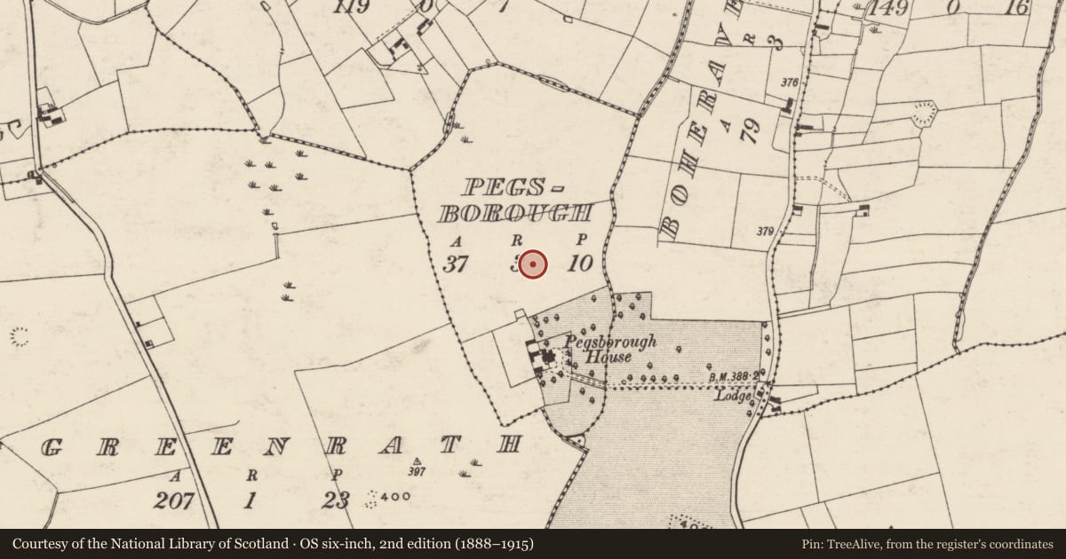 Ordnance Survey six-inch map, 2nd edition (1888–1915) covering the location of Ring-ditch, Pegsborough, County Tipperary South, with a pin at the register's coordinates