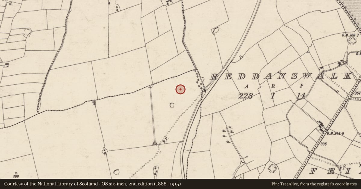 Ordnance Survey six-inch map, 2nd edition (1888–1915) covering the location of Barrow - ditch barrow, Sadleirswells, County Tipperary South, with a pin at the register's coordinates