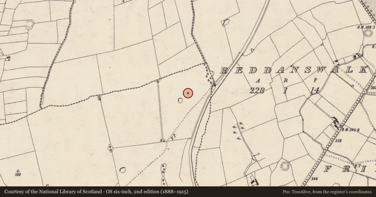 Ordnance Survey six-inch map, 2nd edition (1888–1915) covering the location of Barrow - ditch barrow, Sadleirswells, County Tipperary South, with a pin at the register's coordinates