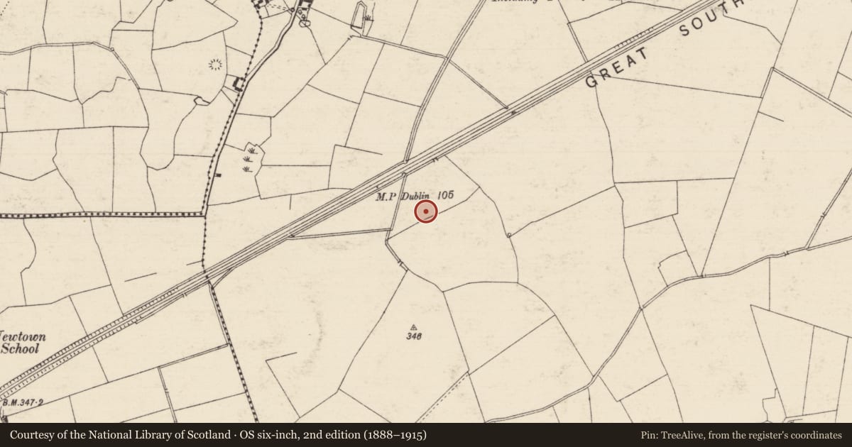 Ordnance Survey six-inch map, 2nd edition (1888–1915) covering the location of Enclosure, Solloghodbeg, County Tipperary South, with a pin at the register's coordinates