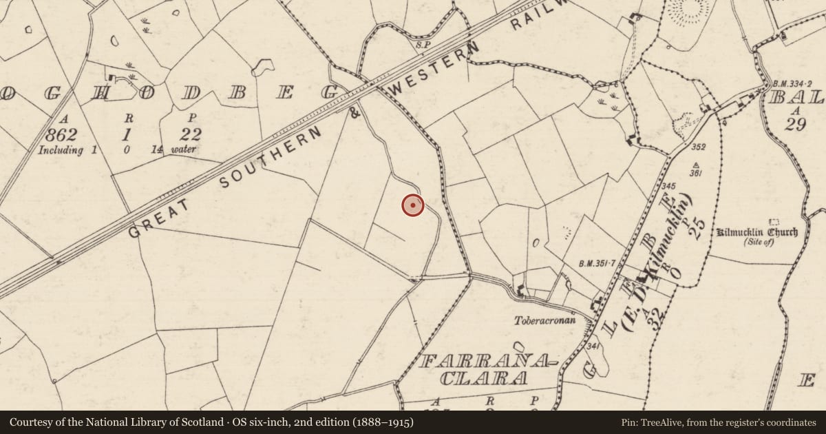 Ordnance Survey six-inch map, 2nd edition (1888–1915) covering the location of Barrow - unclassified, Solloghodbeg, County Tipperary South, with a pin at the register's coordinates