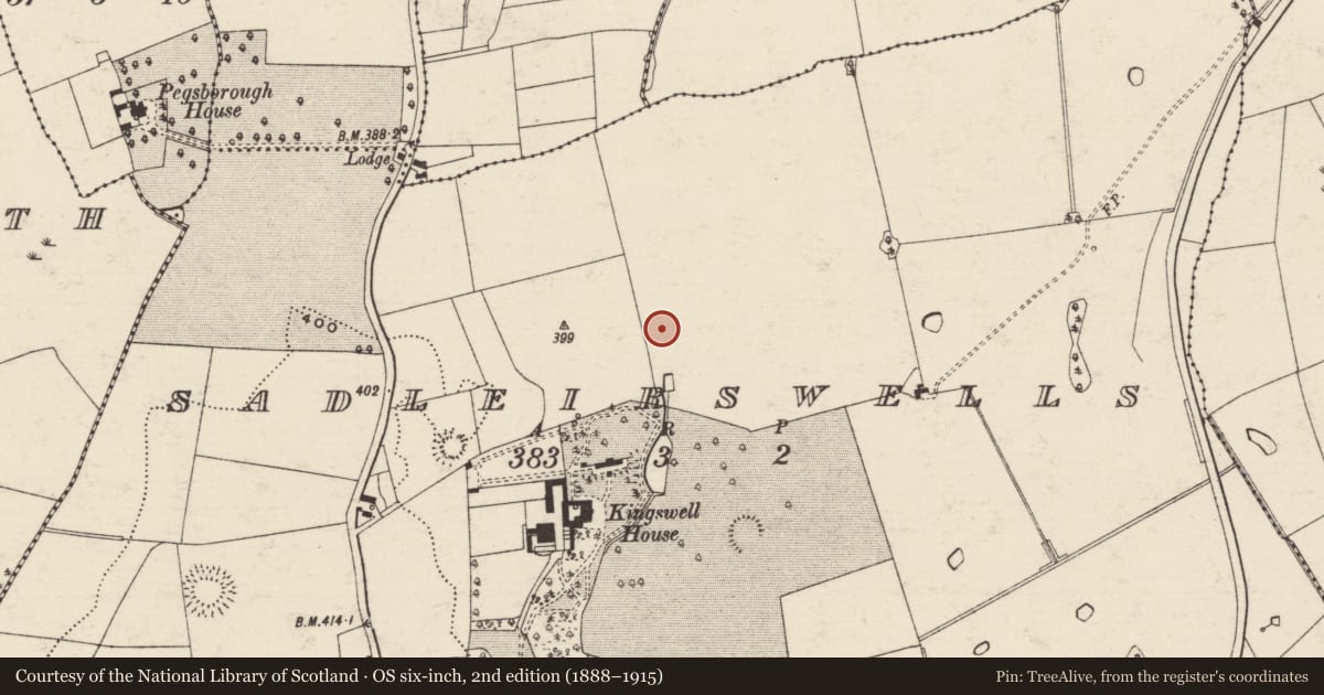 Ordnance Survey six-inch map, 2nd edition (1888–1915) covering the location of Well, Sadleirswells, County Tipperary South, with a pin at the register's coordinates