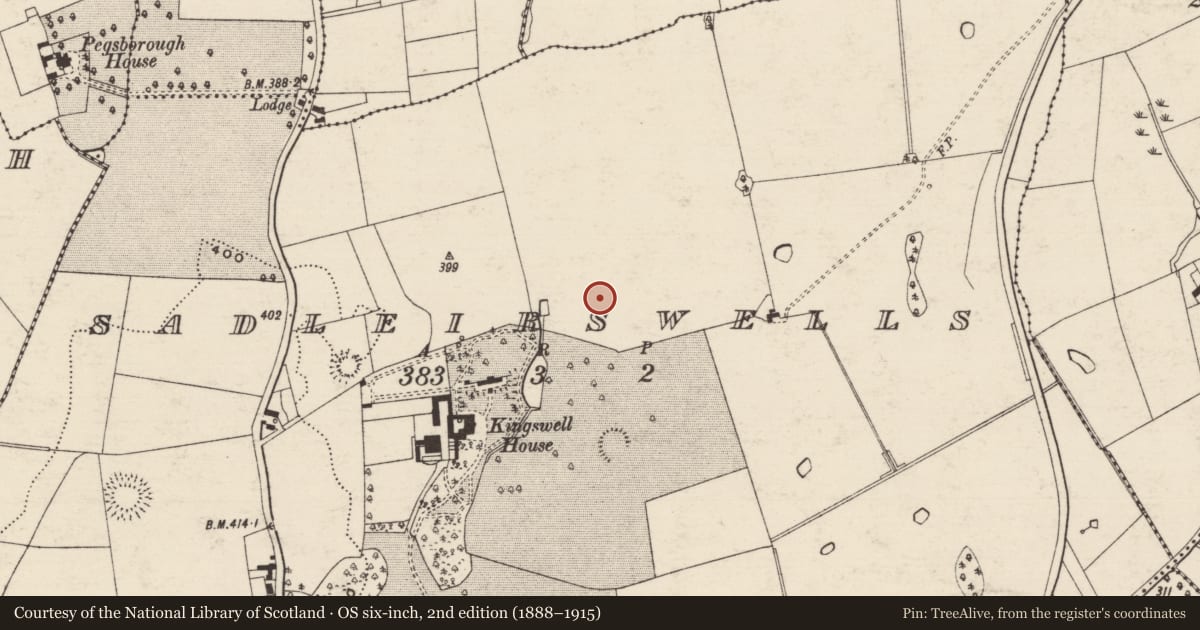 Ordnance Survey six-inch map, 2nd edition (1888–1915) covering the location of Enclosure, Sadleirswells, County Tipperary South, with a pin at the register's coordinates