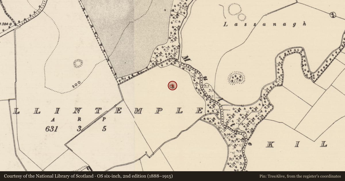 Ordnance Survey six-inch map, 2nd edition (1888–1915) covering the location of Enclosure, Ballintemple (Ballintemple Par.), County Tipperary South, with a pin at the register's coordinates