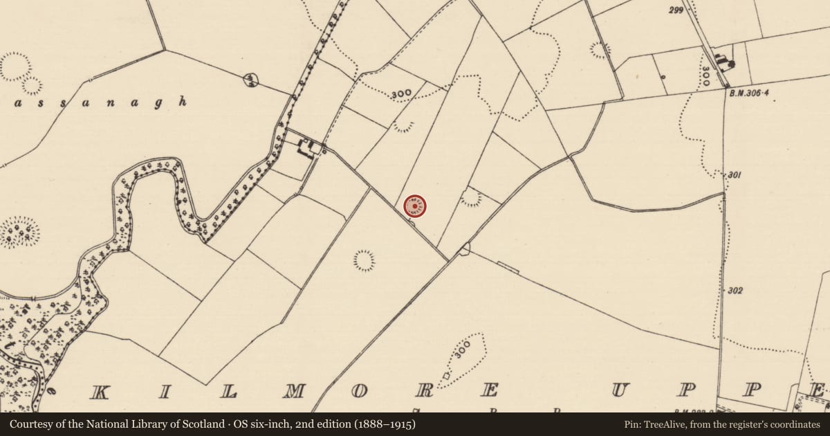 Ordnance Survey six-inch map, 2nd edition (1888–1915) covering the location of Enclosure, Kilmore Upper, County Tipperary South, with a pin at the register's coordinates