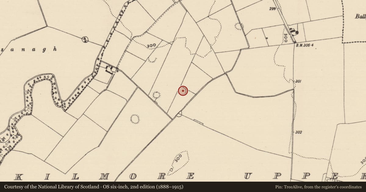 Ordnance Survey six-inch map, 2nd edition (1888–1915) covering the location of Enclosure, Kilmore Upper, County Tipperary South, with a pin at the register's coordinates