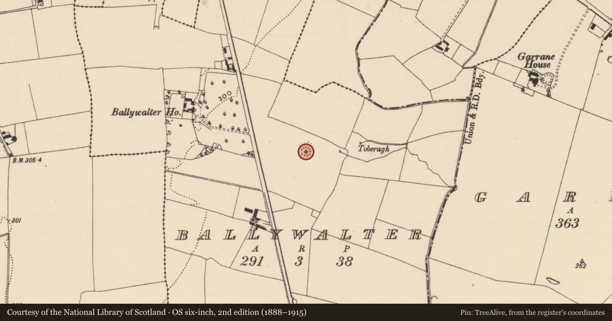 Ordnance Survey six-inch map, 2nd edition (1888–1915) covering the location of Ringfort - rath, Ballywalter (Oughterleague Par.), County Tipperary South, with a pin at the register's coordinates