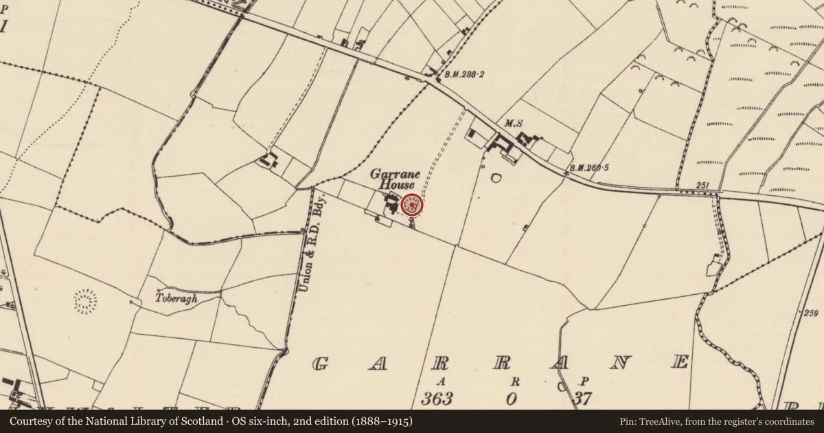 Ordnance Survey six-inch map, 2nd edition (1888–1915) covering the location of Enclosure, Garrane (Ballygriffin Par.), County Tipperary South, with a pin at the register's coordinates
