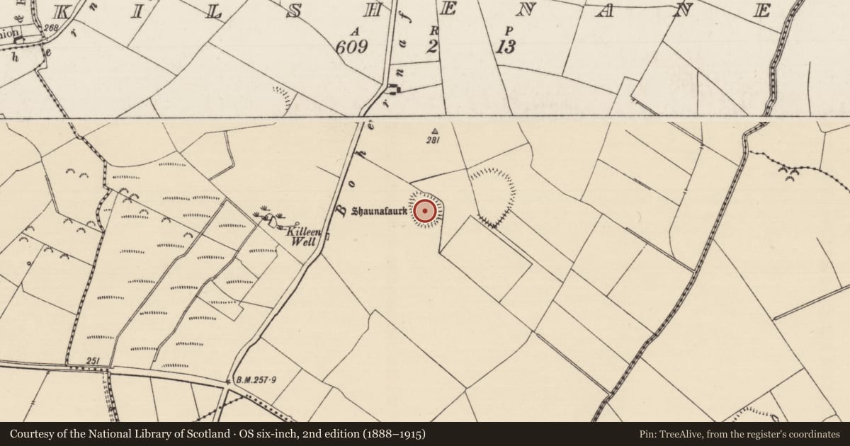 Ordnance Survey six-inch map, 2nd edition (1888–1915) covering the location of Enclosure, Kilshenane, County Tipperary South, with a pin at the register's coordinates