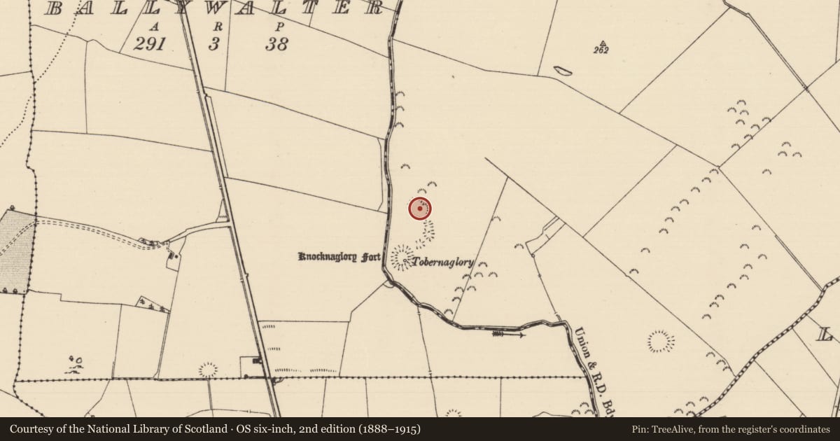 Ordnance Survey six-inch map, 2nd edition (1888–1915) covering the location of Enclosure, Garrane (Ballygriffin Par.), County Tipperary South, with a pin at the register's coordinates