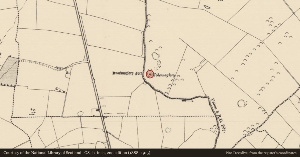 Ordnance Survey six-inch map, 2nd edition (1888–1915) covering the location of Enclosure, Garrane (Ballygriffin Par.), County Tipperary South, with a pin at the register's coordinates