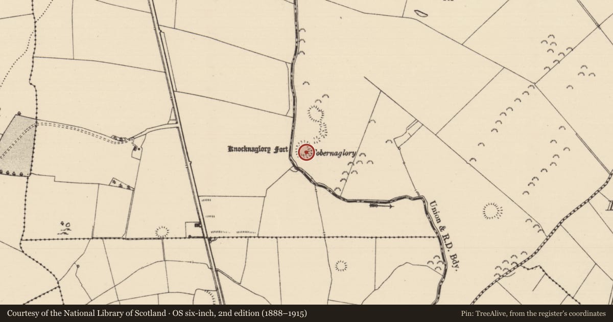 Ordnance Survey six-inch map, 2nd edition (1888–1915) covering the location of Ritual site - holy well, Garrane (Ballygriffin Par.), County Tipperary South, with a pin at the register's coordinates