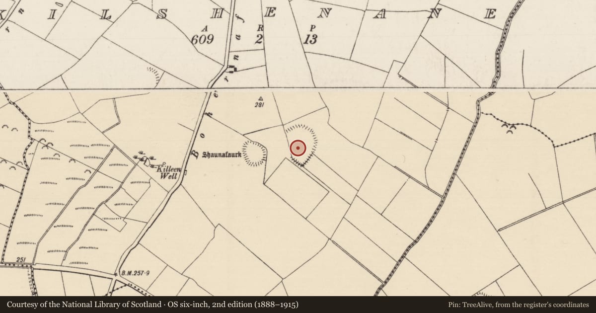 Ordnance Survey six-inch map, 2nd edition (1888–1915) covering the location of Enclosure, Kilshenane, County Tipperary South, with a pin at the register's coordinates