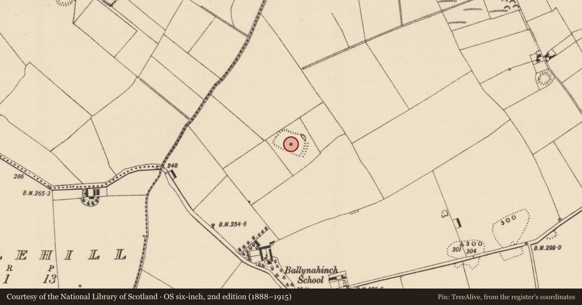 Ordnance Survey six-inch map, 2nd edition (1888–1915) covering the location of Enclosure, Ballynahinch (Ballygriffin Par.), County Tipperary South, with a pin at the register's coordinates