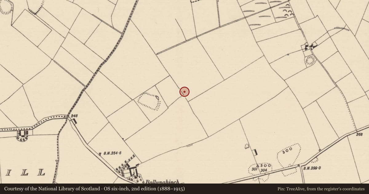 Ordnance Survey six-inch map, 2nd edition (1888–1915) covering the location of Enclosure, Ballynahinch (Ballygriffin Par.), County Tipperary South, with a pin at the register's coordinates