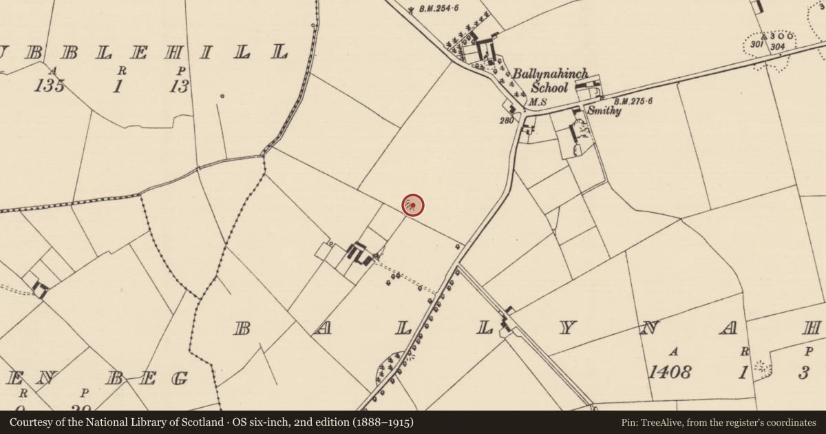 Ordnance Survey six-inch map, 2nd edition (1888–1915) covering the location of Enclosure, Ballynahinch (Ballygriffin Par.), County Tipperary South, with a pin at the register's coordinates