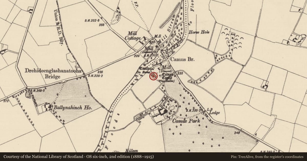 Ordnance Survey six-inch map, 2nd edition (1888–1915) covering the location of Castle - unclassified, Camus (St. Patricksrock Par.), County Tipperary South, with a pin at the register's coordinates