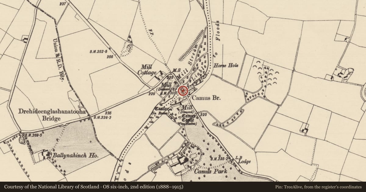 Ordnance Survey six-inch map, 2nd edition (1888–1915) covering the location of Bridge, Camus (Ardmayle Par.), Camus (St. Patricksrock Par.), County Tipperary South, with a pin at the register's coordinates