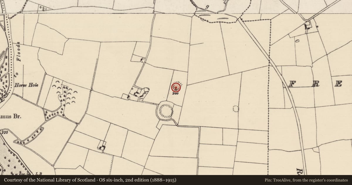 Ordnance Survey six-inch map, 2nd edition (1888–1915) covering the location of Ringfort - rath, Camus (St. Patricksrock Par.), County Tipperary South, with a pin at the register's coordinates