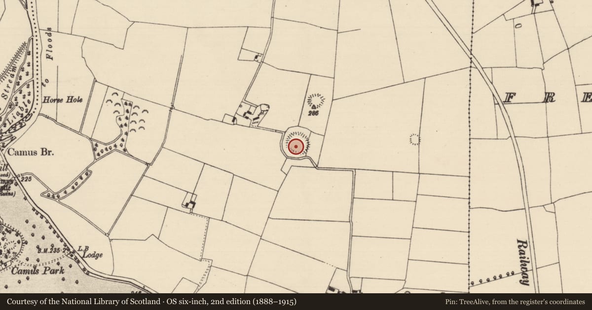 Ordnance Survey six-inch map, 2nd edition (1888–1915) covering the location of Ringfort - rath, Camus (St. Patricksrock Par.), County Tipperary South, with a pin at the register's coordinates