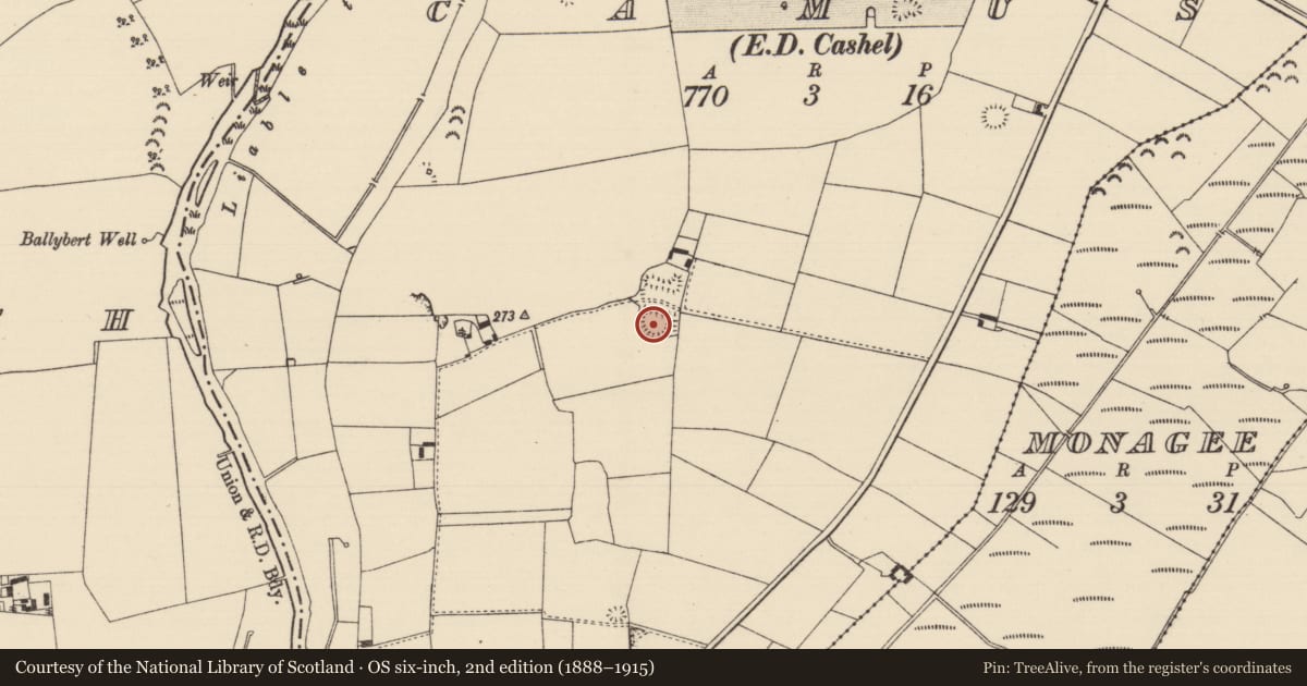 Ordnance Survey six-inch map, 2nd edition (1888–1915) covering the location of Enclosure, Camus (St. Patricksrock Par.), County Tipperary South, with a pin at the register's coordinates
