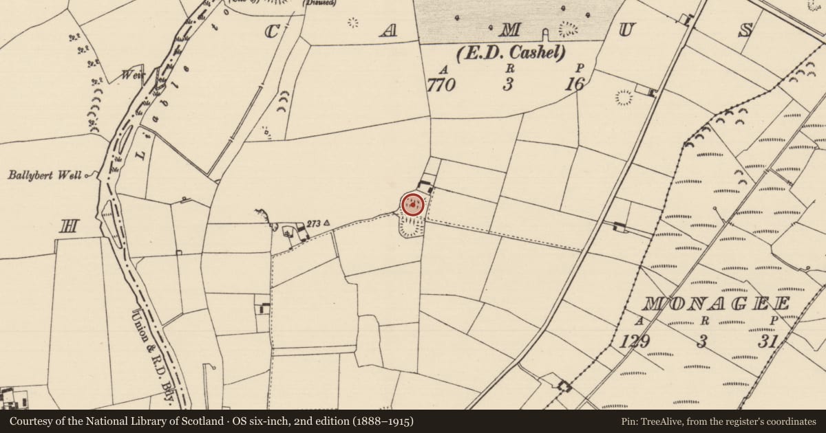 Ordnance Survey six-inch map, 2nd edition (1888–1915) covering the location of Mound, Camus (St. Patricksrock Par.), County Tipperary South, with a pin at the register's coordinates