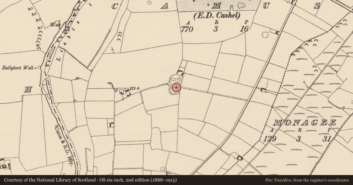 Ordnance Survey six-inch map, 2nd edition (1888–1915) covering the location of Mound, Camus (St. Patricksrock Par.), County Tipperary South, with a pin at the register's coordinates