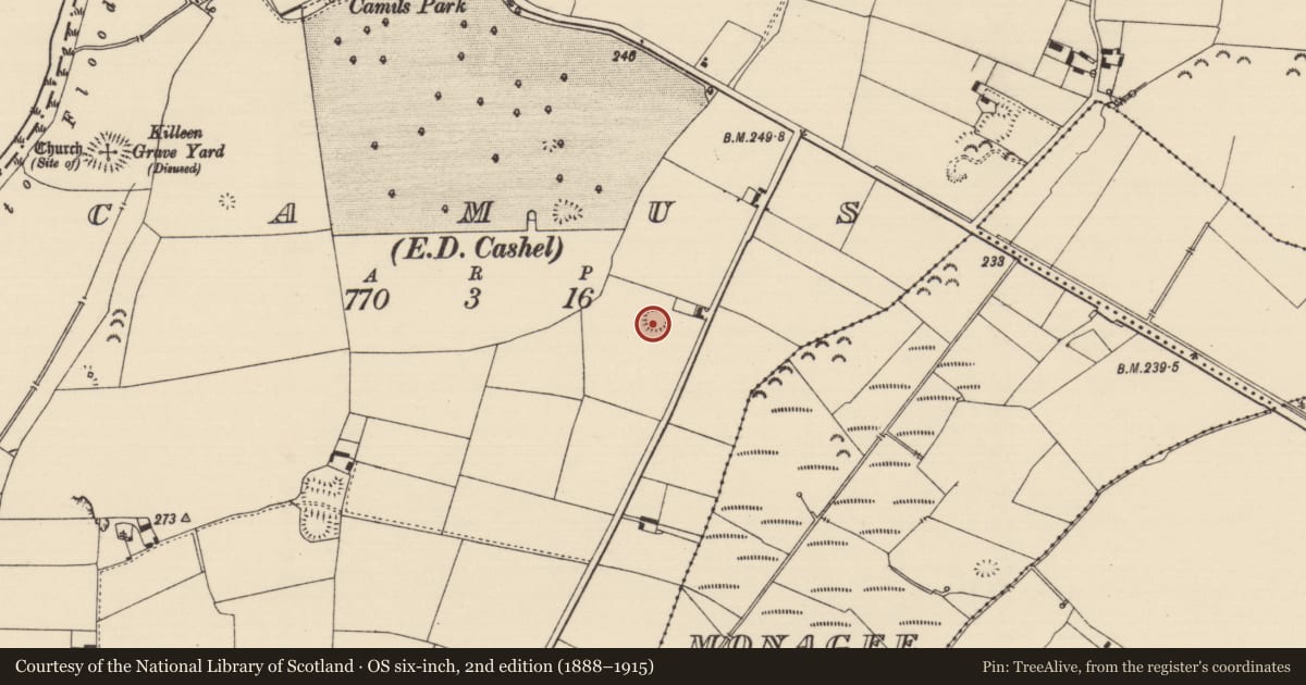 Ordnance Survey six-inch map, 2nd edition (1888–1915) covering the location of Enclosure, Camus (St. Patricksrock Par.), County Tipperary South, with a pin at the register's coordinates