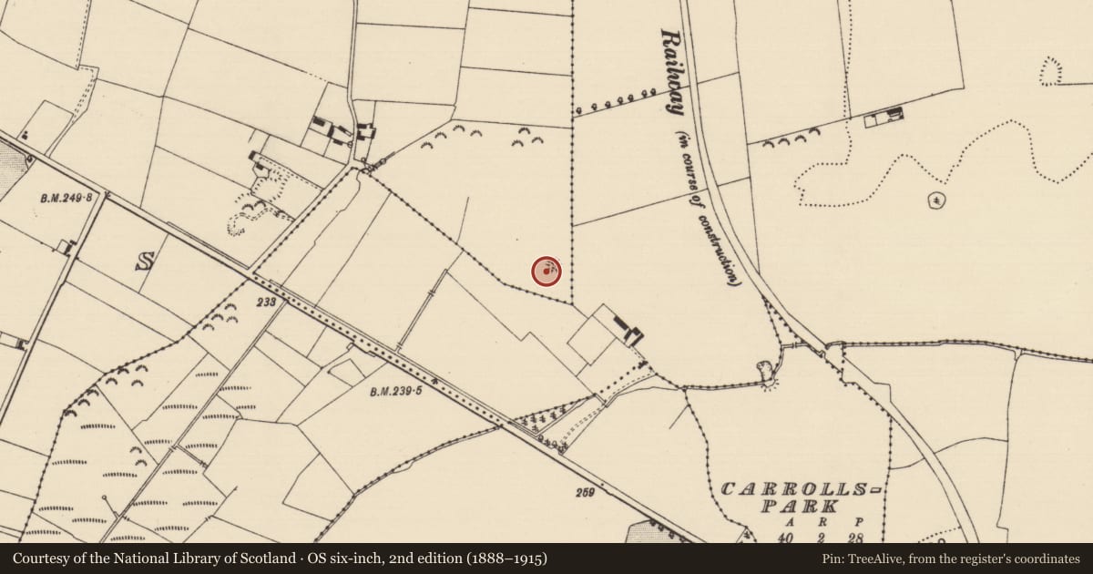 Ordnance Survey six-inch map, 2nd edition (1888–1915) covering the location of Enclosure, Camus (St. Patricksrock Par.), County Tipperary South, with a pin at the register's coordinates
