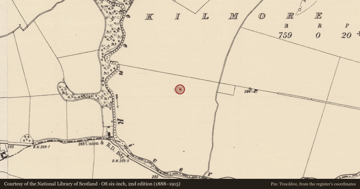 Ordnance Survey six-inch map, 2nd edition (1888–1915) covering the location of Enclosure, Kilmore Upper, County Tipperary South, with a pin at the register's coordinates