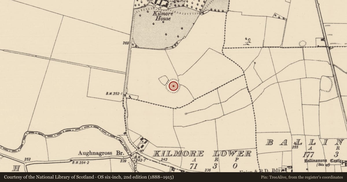 Ordnance Survey six-inch map, 2nd edition (1888–1915) covering the location of Enclosure, Kilmore Upper, County Tipperary South, with a pin at the register's coordinates