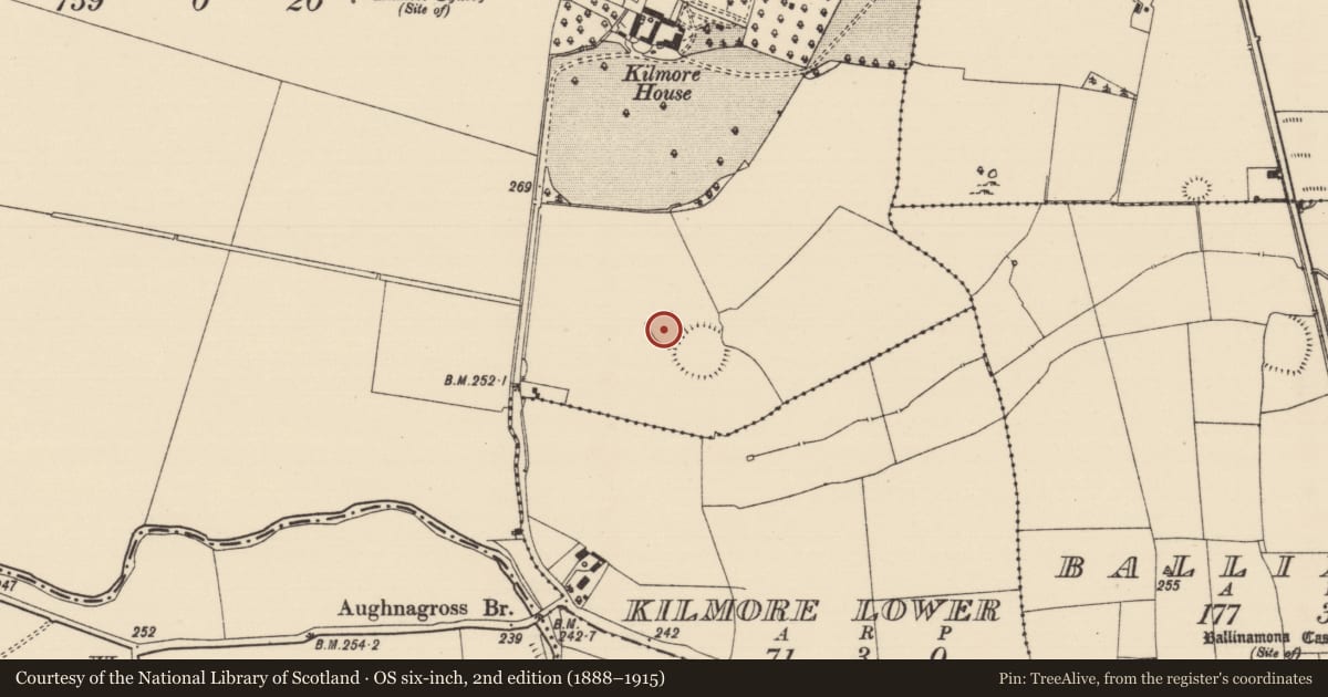 Ordnance Survey six-inch map, 2nd edition (1888–1915) covering the location of Enclosure, Kilmore Upper, County Tipperary South, with a pin at the register's coordinates