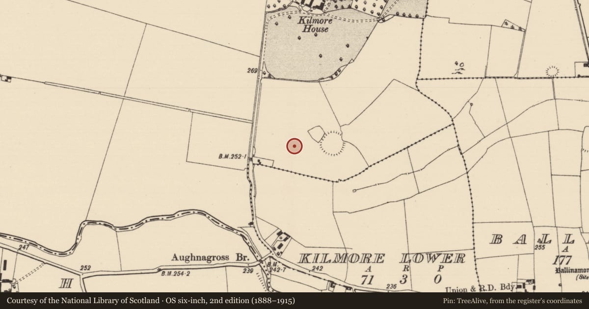 Ordnance Survey six-inch map, 2nd edition (1888–1915) covering the location of Enclosure, Kilmore Upper, County Tipperary South, with a pin at the register's coordinates