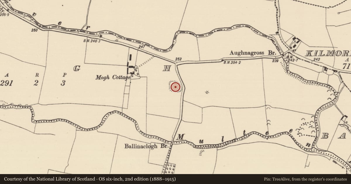 Ordnance Survey six-inch map, 2nd edition (1888–1915) covering the location of Enclosure, Mogh, County Tipperary South, with a pin at the register's coordinates