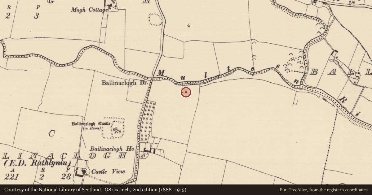 Ordnance Survey six-inch map, 2nd edition (1888–1915) covering the location of Enclosure, Ballinaclogh (Relickmurray & Athassel Par.), County Tipperary South, with a pin at the register's coordinates