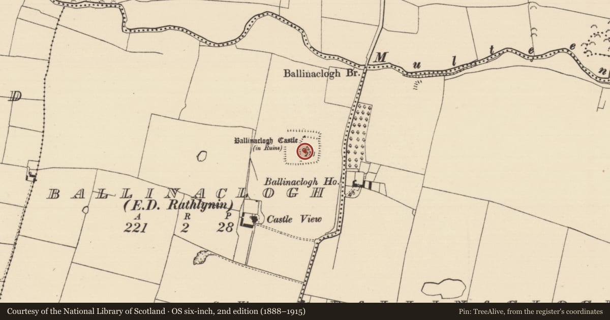 Ordnance Survey six-inch map, 2nd edition (1888–1915) covering the location of Castle - tower house, Ballinaclogh (Rathlynin Par.), County Tipperary South, with a pin at the register's coordinates